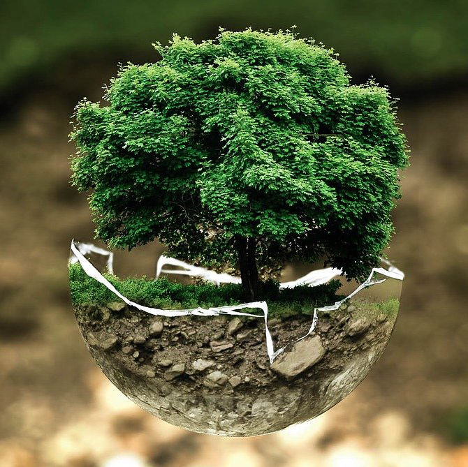 COUNSELING E CONSULENZA bioenergetica _ Dottoressa MG Galletta